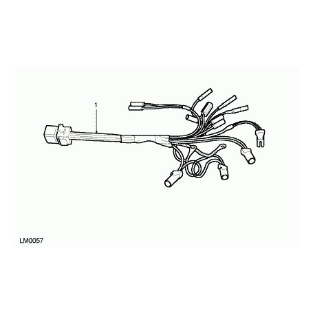 Land rover cablage Defender 90, 110, 130 (LR016422)