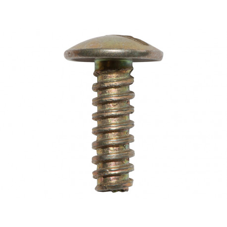 Oem floor screw x 100 (320045)