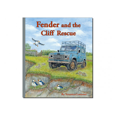 Britpart fender and the cliff rescue (0LNWG)